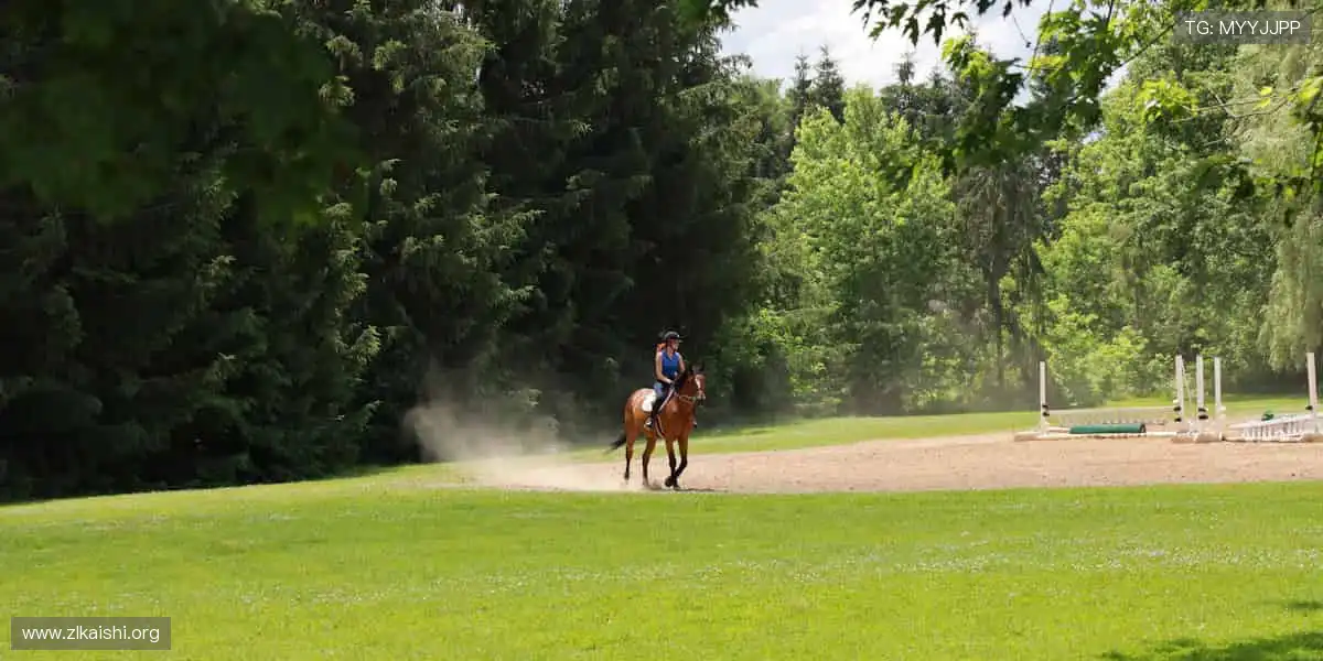 爆款电竞赛事集结：战报数据实时刷新，赛事资讯实时掌握热血不打烊